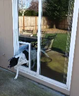 The Glass Guru photo 4