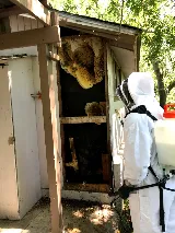 Pest Control Pro, LLC photo 6