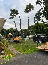 Tree And Yard Renovations photo 3