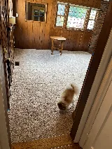 Tile Town Carpet One Floor & Home photo 7