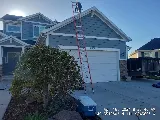 ReRoofIt photo 6