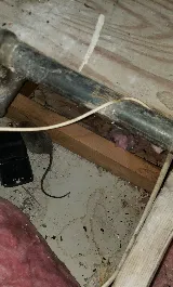 PASADENA RODENT EXTERMINATOR SERVICES photo 2