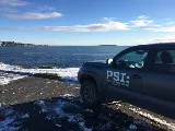 Pest Scene Investigations