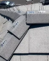 Dowd Solar Netting and Cleaning photo 6