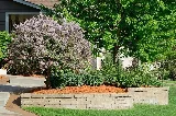 Landscaping Charm Experts Edmonton photo 8