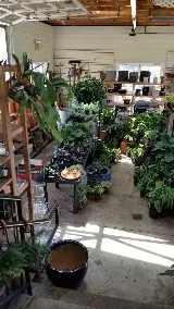 Green Fields Nursery & Landscaping Company photo 5