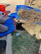 Plano Plumbing & Leak Detection photo 6