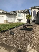 Lush Landscaping & Restoration Ltd. photo 10