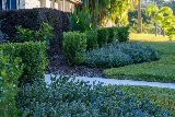 Ground Source Landscaping photo 4