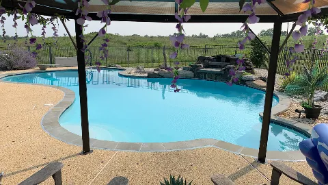 Dolphin Pool Services, LLC photo 1