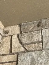 Midwest Pest Control photo 6