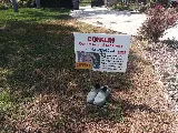 Conklin Concrete & Masonry Co photo 4