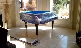 All In Movers photo 2