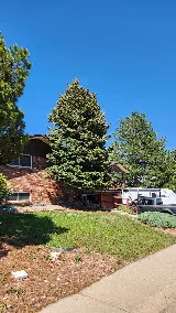 Rodriguez Landscape, Inc photo 5
