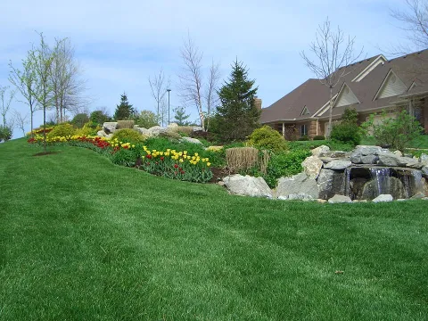 Executive Landscape Services LLC in Lexington