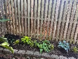 Blue Ridge Lawn Care Services photo 8