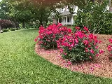 Nature's Select® photo 4