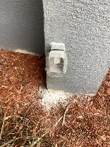 Second Opinion Electric photo 2