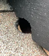 Arrow Termite & Pest Control photo 8