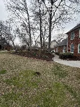 Top Cut Landscaping photo 4