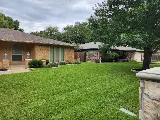 Lone Star Lawns, Arlington, TX photo 3