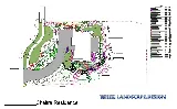White Landscape Design photo 7
