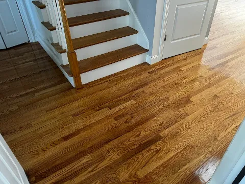 Mass Floor Care photo 1