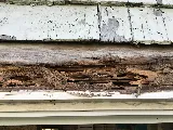 Eco Serve Pest Services photo 5