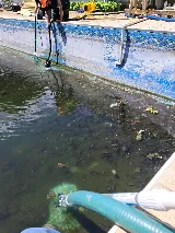 Professional Pool Serivce photo 6