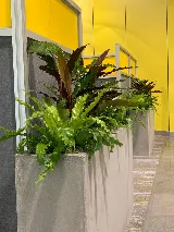 The Landscaping People Inc photo 6