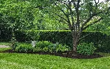 Epic Lawn Care photo 6