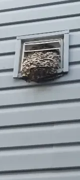 Pest Control Center photo 5