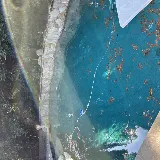 Lakeside Pool Service photo 7