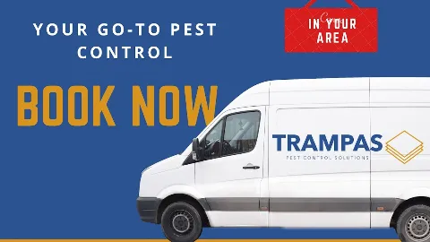 Trampas Pest Control Solutions Inc. photo 1