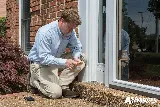 All-American Pest Control photo 7