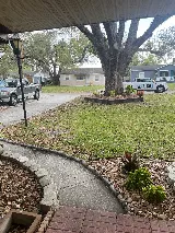 Tier 1 Pest Solutions photo 6