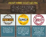 Wired Goat Electric photo 8