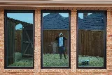 Silverback Windows photo 6