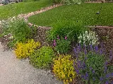 Cherry Bomb Landscaping photo 3