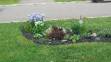 Enviro Masters Lawn Care photo 3