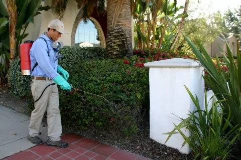 Pest Patrol, Inc. in San Diego