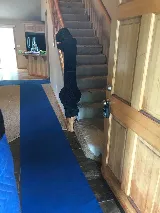 Bend Brothers Moving photo 3