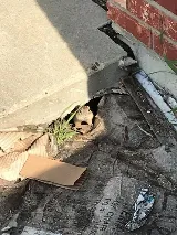 Advantage Pest Control photo 5