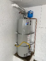 Paws Plumbing photo 5