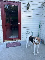 Dun-Rite Window & Door photo 5