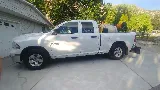 Legacy Pest Control photo 4