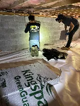 Port City Pest photo 5