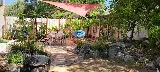 Greenbee Landscape, Inc. photo 2