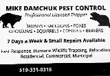 Mike Damchuk Pest Control photo 2
