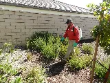 Bull's Eye Pest Control